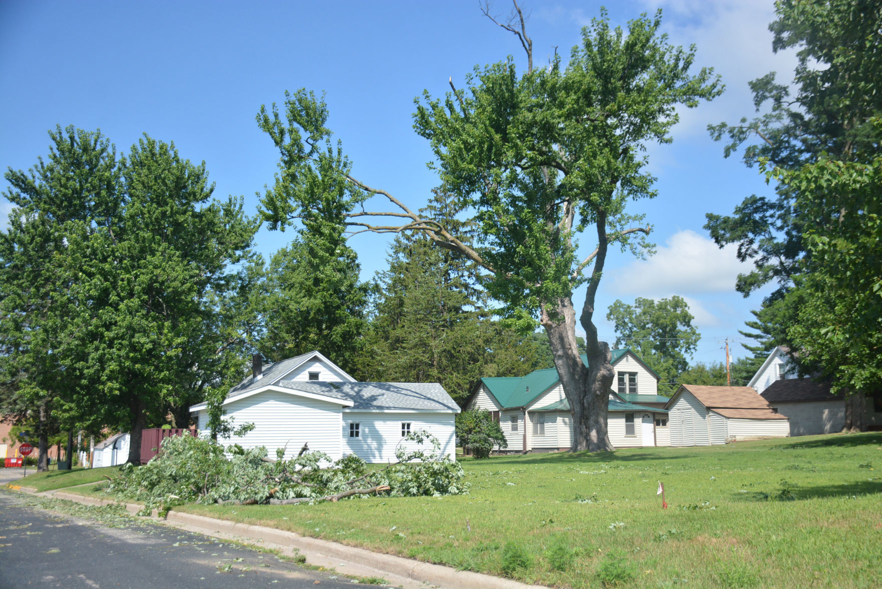 DSC_1200.jpg